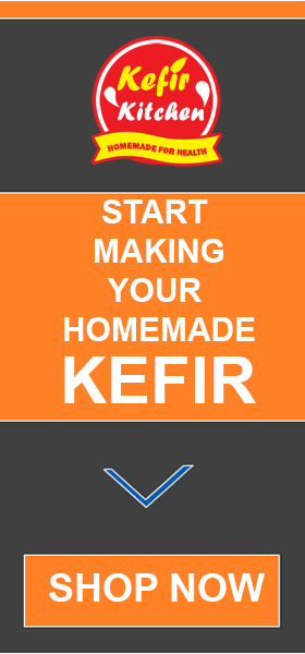 Buy fresh kefir grains