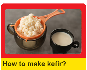 How to make milk kefir at home?